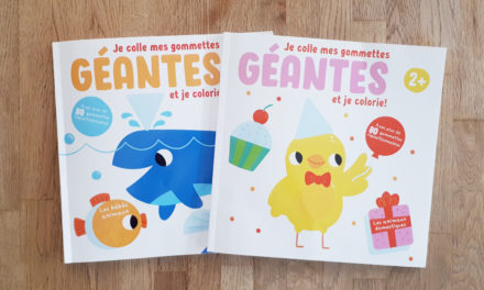 Livres de gommettes et de coloriage