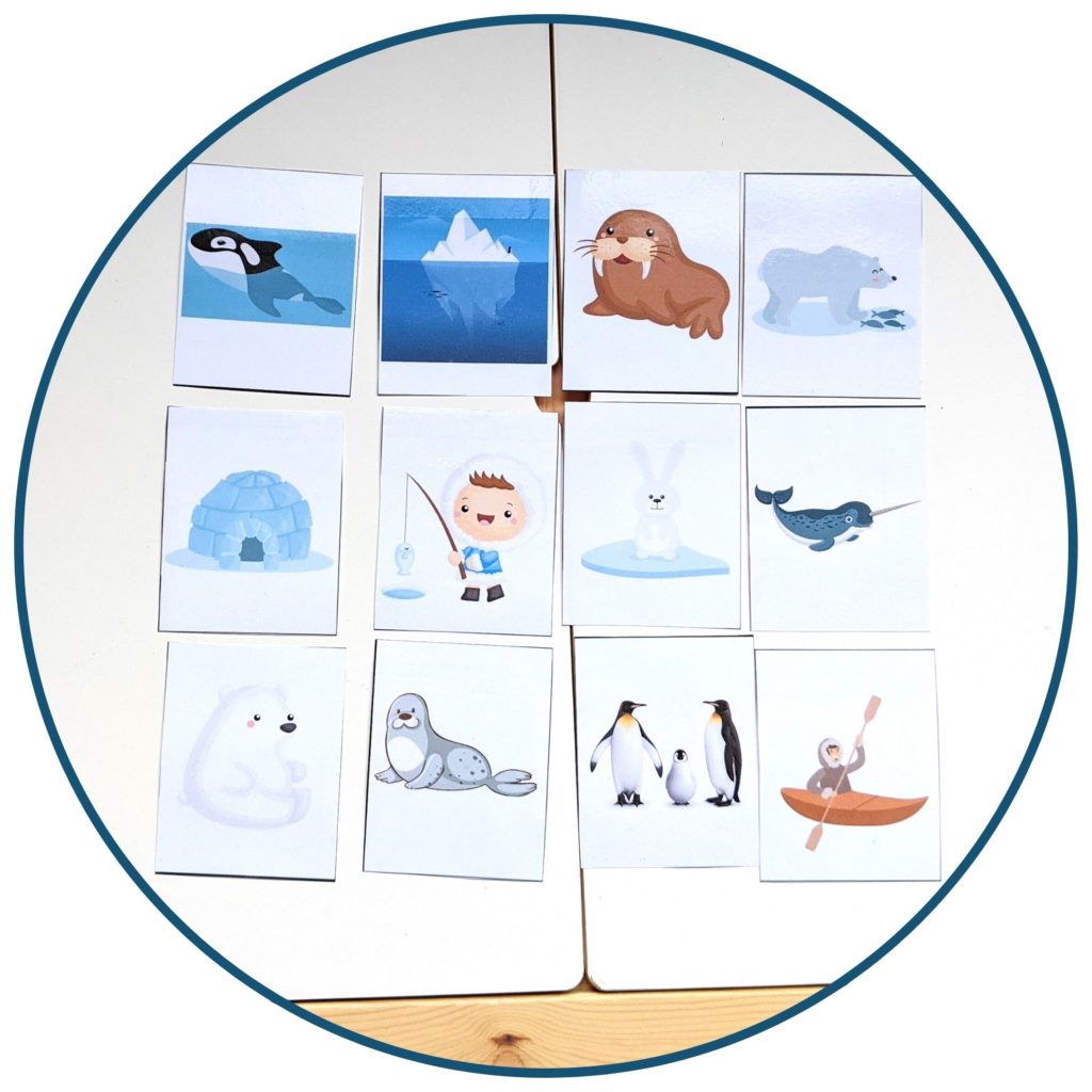 Antarctique, voyage, blanc, pôle Sud, cahier d'activités, ludique, éducatif, jeux, activités manuelles, puzzles, région unique, amusant, faune, flore, espèces animales, mémoire, télécharger, memory