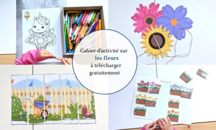 CAHIER D’ACTIVITÉs Les fleurs