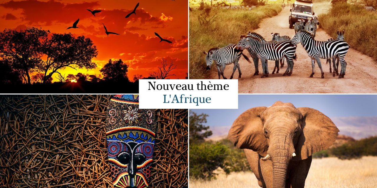 Thème l’afrique 🐘