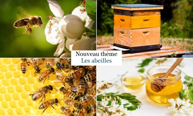 Thème les abeilles 🐝