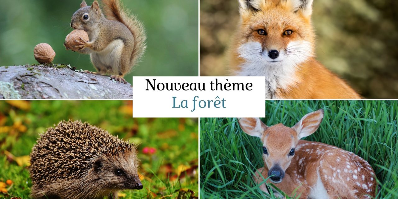 thème la forêt