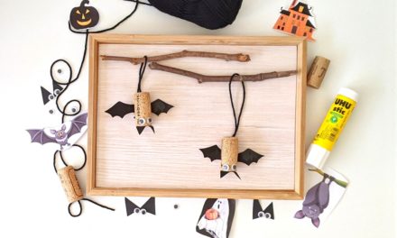 diy Les mignonnes chauves-souris