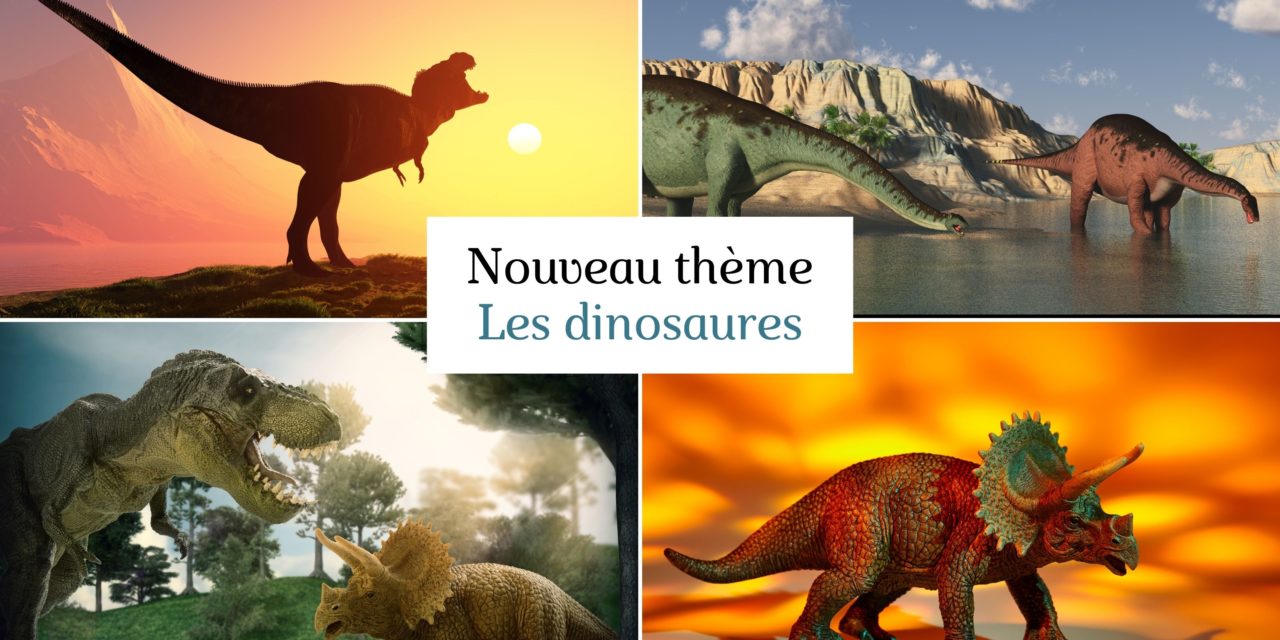 Thème dinosaures